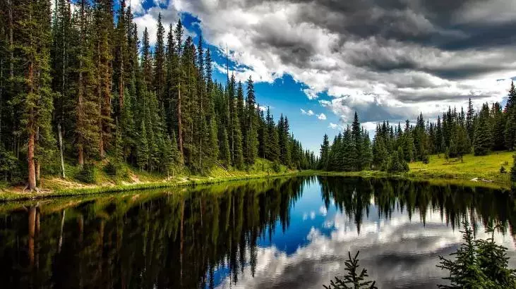 🏞️ Manzara Gönderi Arşivi