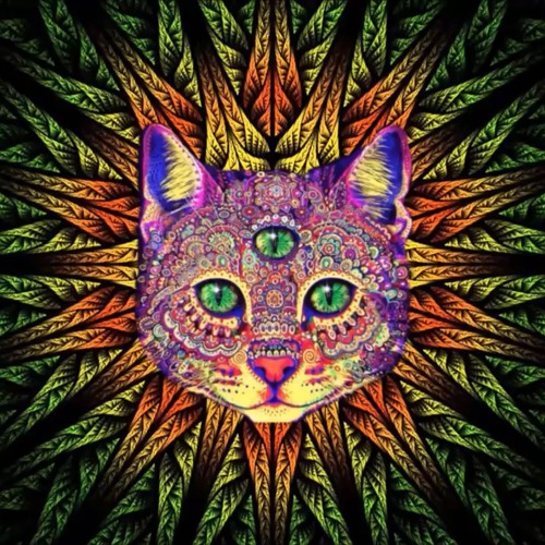 🌀 PSY Müzik Karışık Gönderi Arşivi